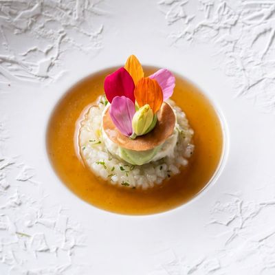 Koolrabi | Rogge | Moerasspirea | Vijgenblad