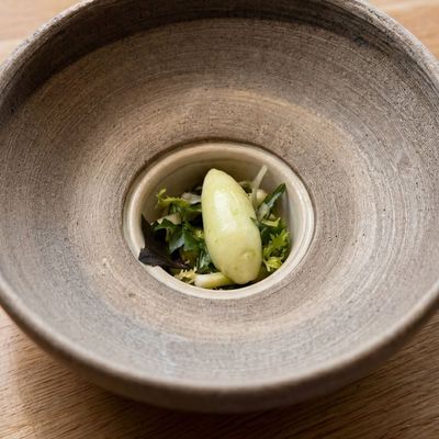 Frisse salade | Bergamot | Skyr | Matcha